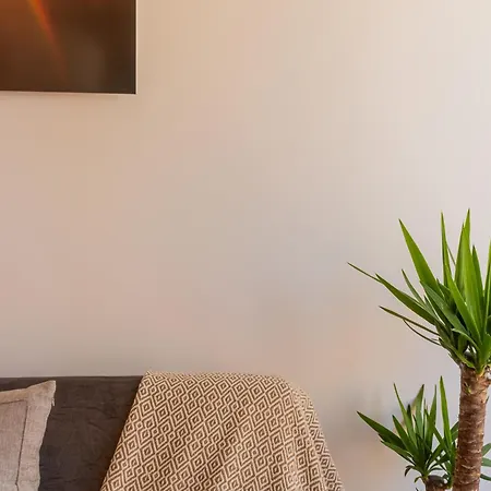 Bright Duplex With Stunning Bridge Views In The History Area